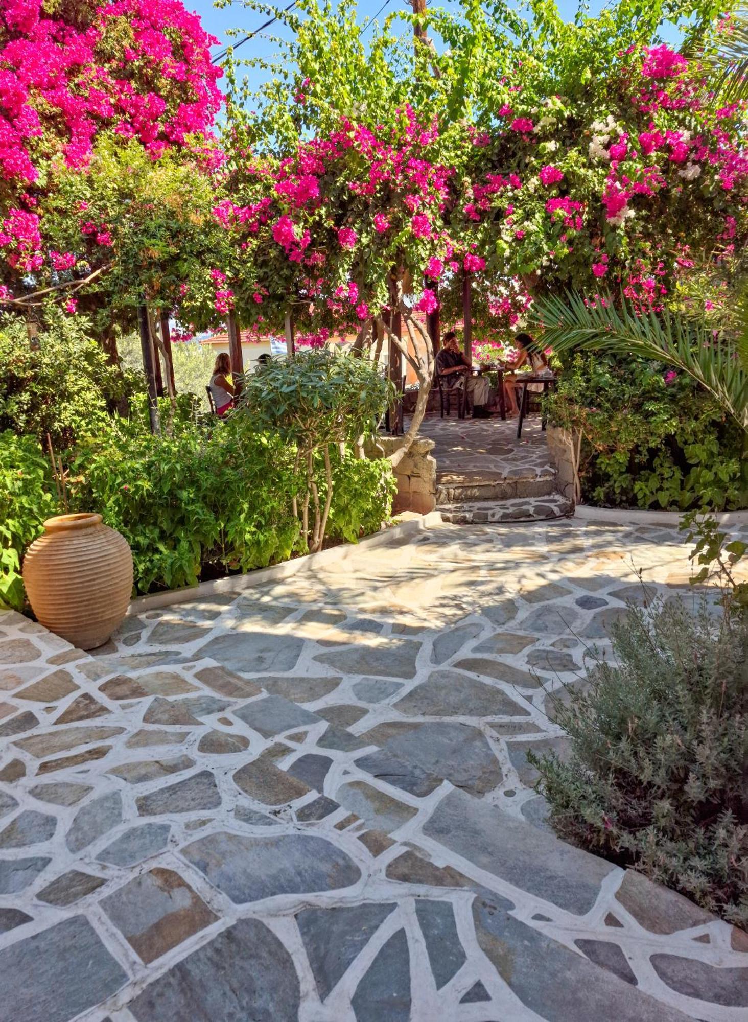 Vagia Traditional, Aegina Island Bagian luar foto