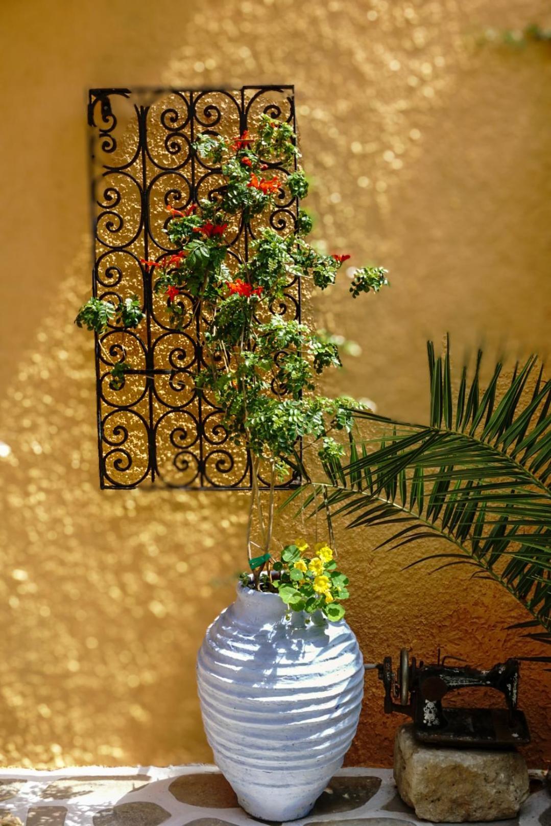 Vagia Traditional, Aegina Island Bagian luar foto